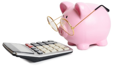 Piggy bank reading a calculator