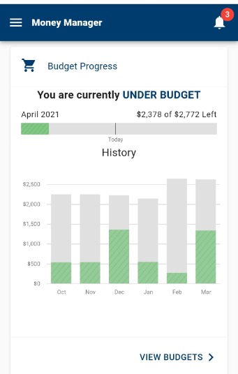 Money Manager - Screenshot example - budget progress