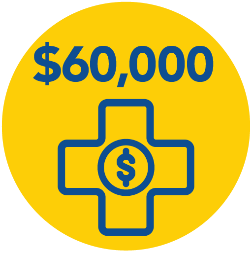 $60,000 icon - monetary help