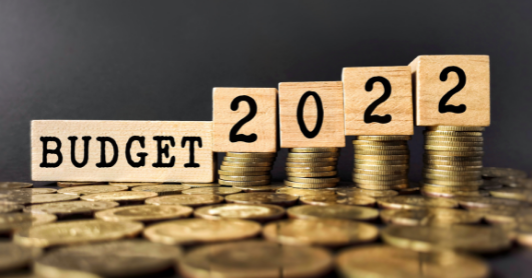 Budget for 2022